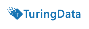 turingdata.com